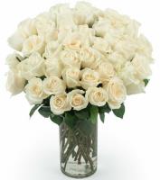 50-white-roses