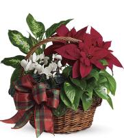 deck-the-halls-plant-basket-arrangement