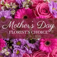 mothers-day-florist-choice