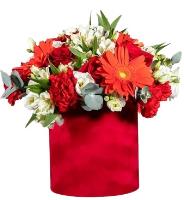 scarlet-whisper-arrangement-red-white-flowers-box