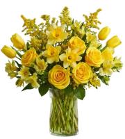 yellow-easter-flowers