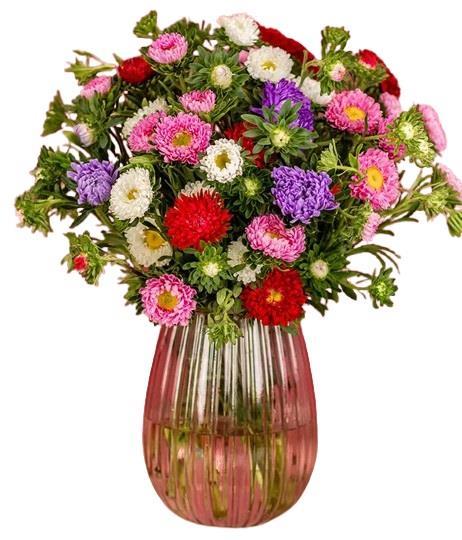 asters-bouquet