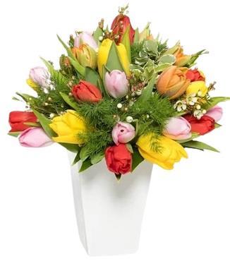 multicoloured-tulips