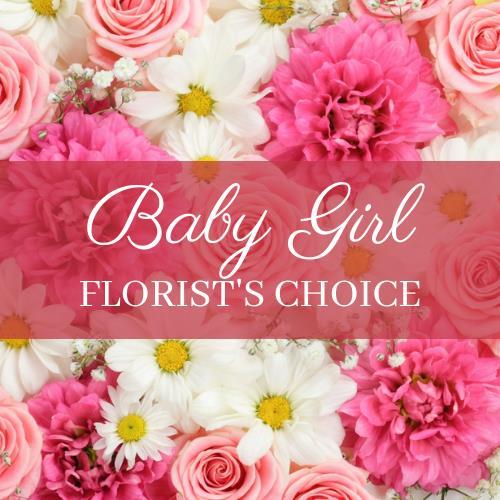 new-baby-girl-florist-choice