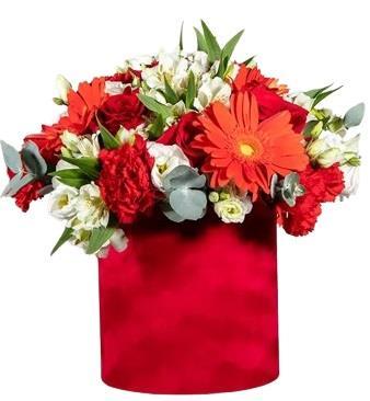 scarlet-whisper-arrangement-red-white-flowers-box